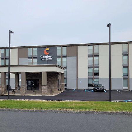 Comfort Inn & Suites Wyomissing-Reading Eksteriør bilde