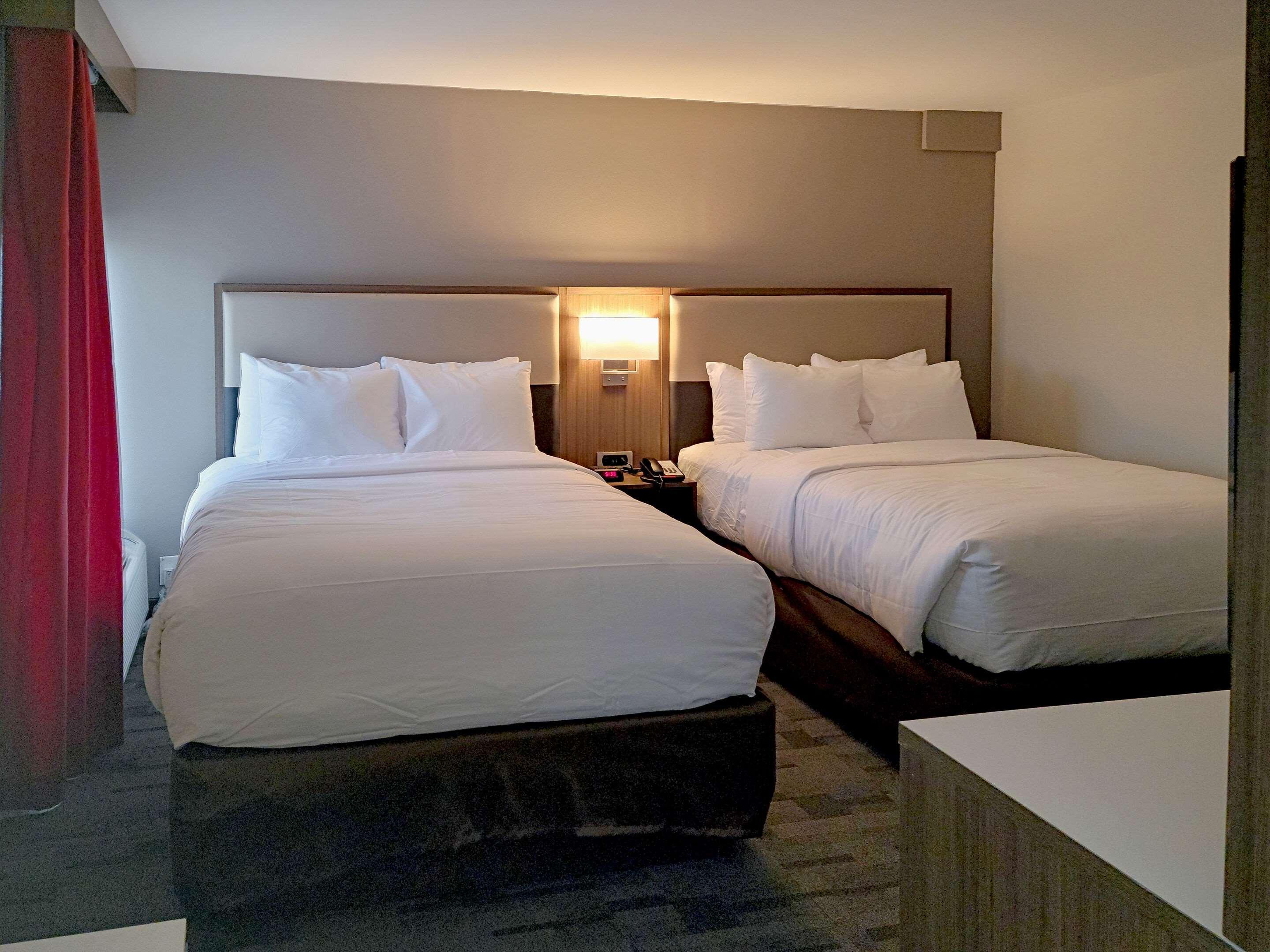 Comfort Inn & Suites Wyomissing-Reading Eksteriør bilde